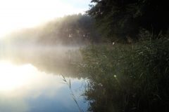 rykowisko_2018-3