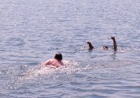 Pod_Woda_raownictwowodne-18