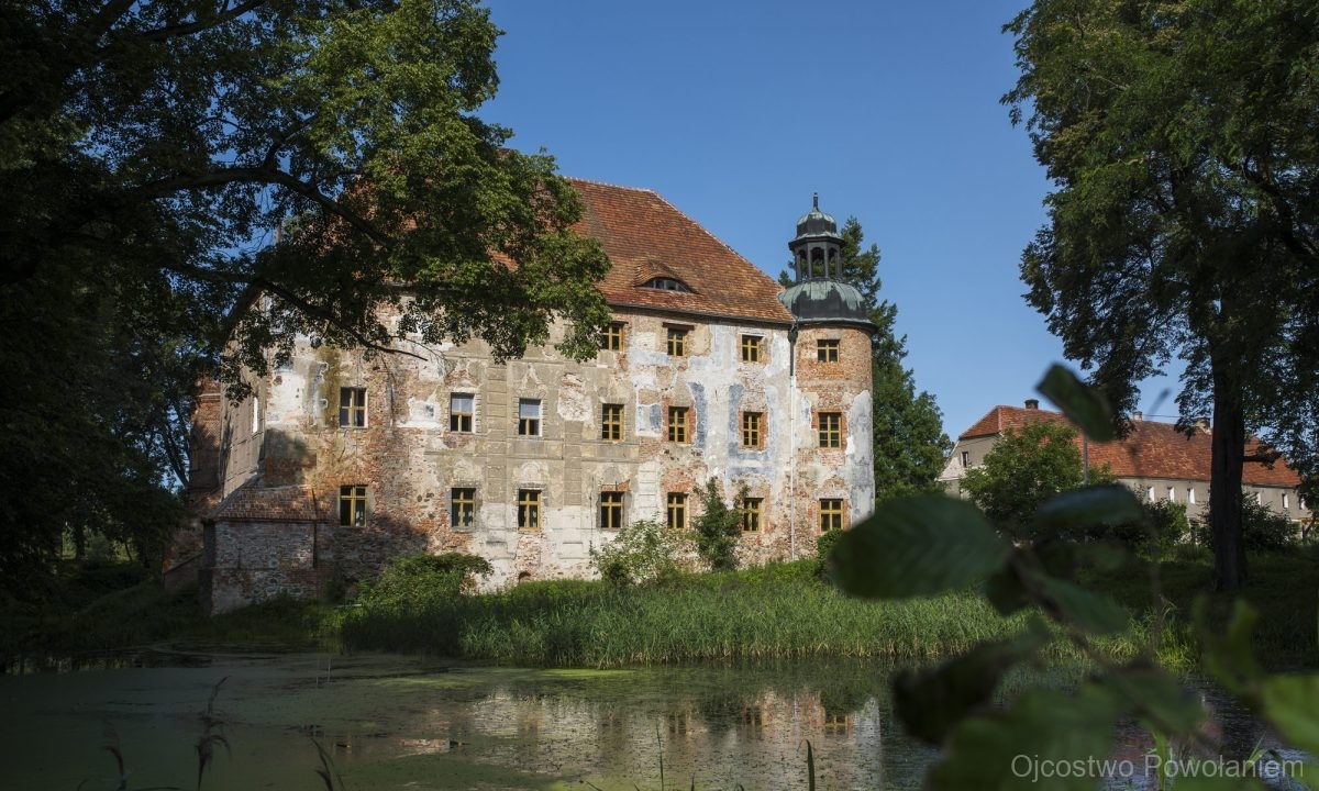Zamek Broniszów