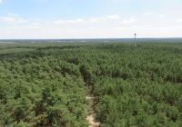 03-sobota-szlak-pieszy-do-Wilcza-60-osob-10