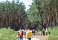 03-sobota-szlak-pieszy-do-Wilcza-60-osob-3