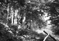 BzB_gory_walbrzyszkie_fot.08