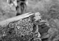 BzB_gory_walbrzyszkie_d2_fot.30