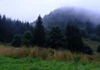 BzB_gory_walbrzyszkie_d3_fot.08