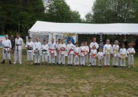Pokaz karate - fot. KOSP