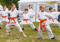 Pokaz karate - fot. KOSP