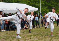 Pokaz karate - fot. KOSP