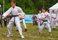 Pokaz karate - fot. KOSP