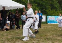 Pokaz karate - fot. KOSP