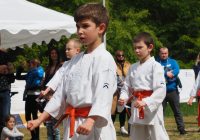 Pokaz karate - fot. KOSP