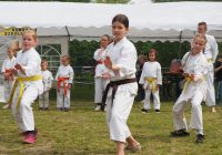 Pokaz karate - fot. KOSP