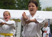 Pokaz karate - fot. KOSP