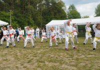 Pokaz karate - fot. KOSP
