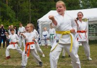 Pokaz karate - fot. KOSP