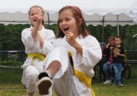Pokaz karate - fot. KOSP