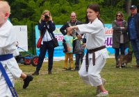 Pokaz karate - fot. KOSP