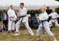 Pokaz karate - fot. KOSP