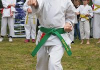 Pokaz karate - fot. KOSP