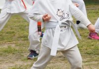 Pokaz karate - fot. KOSP