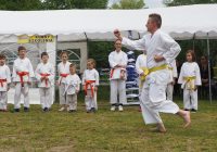 Pokaz karate - fot. KOSP