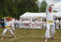 Pokaz karate - fot. KOSP
