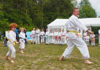 Pokaz karate - fot. KOSP