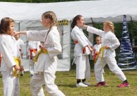 Pokaz karate - fot. KOSP