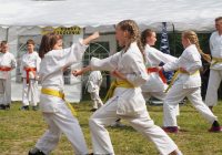 Pokaz karate - fot. KOSP