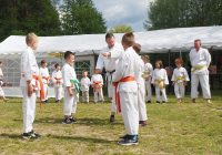 Pokaz karate - fot. KOSP