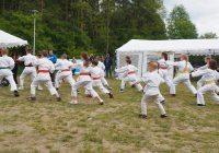 Pokaz karate - fot. KOSP