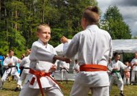 Pokaz karate - fot. KOSP