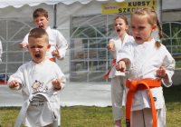 Pokaz karate - fot. KOSP