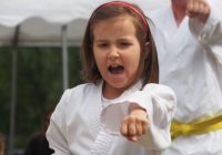 Pokaz karate - fot. KOSP