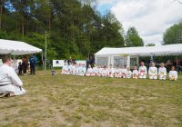Pokaz karate - fot. KOSP