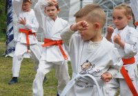 Pokaz karate - fot. KOSP