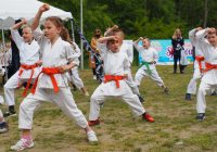 Pokaz karate - fot. KOSP