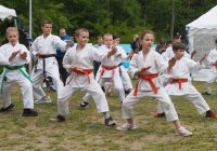 Pokaz karate - fot. KOSP