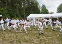 Pokaz karate - fot. KOSP