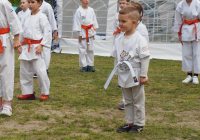 Pokaz karate - fot. KOSP