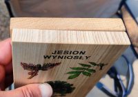 bushcraft_rykowisko_2022-45