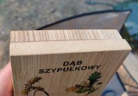 bushcraft_rykowisko_2022-46